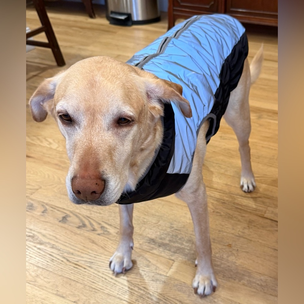 Dog jacket Light Gray and Black Puffer Vest - Double Zip Front. XXL